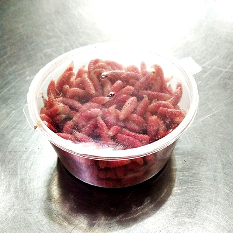 ������ (�������)   