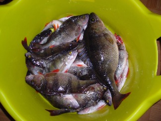 ������ ���� !  ������ �� �� . ��������� ��� ����� - ����� ����������� � ������� .  � ��� ���� 2 ���� � ����� ���� , ��� ���� . ���������� ������ �� ������ ��� �� ������� .  �� ������� ���� ������ "�����" ����� , ����� ����� ����� ������ �������� .  ����� ��� !!! � ������ ...