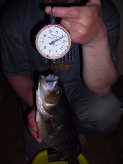 ������ ������� 033.jpg